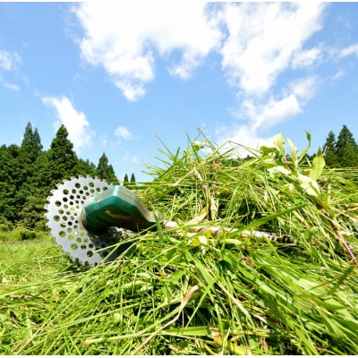 実家・空き家の草刈り・草取り・剪定(大牟田市)