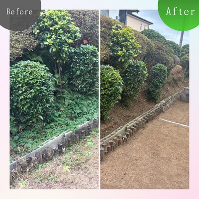 実家・空き家の草刈り・草取り・剪定(大牟田市)