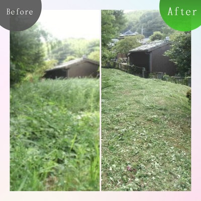 実家・空き家の草刈り・草取り・剪定(大牟田市)