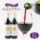 〔信州大学人気No.1〕山ぶどうワイン2本