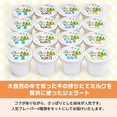 地元産フレッシュミルクたっぷりジェラート森のアイス16個セット
