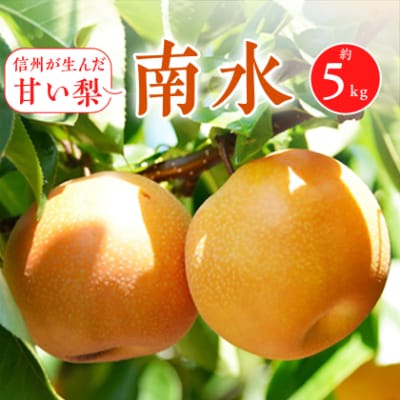 2025年秋!信州の梨【南水】約5kg　信州が生んだ甘い梨!