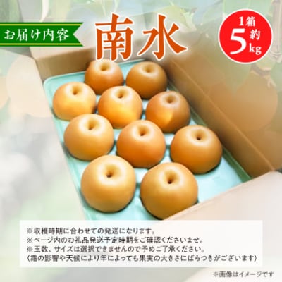 2025年秋!信州の梨【南水】約5kg　信州が生んだ甘い梨!