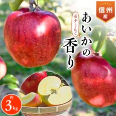 甘い!希少なりんごあいかの香り約3キロ　信州のりんご