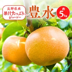 2025年秋!信州の梨【豊水】約5kg　果汁たっぷりジューシーな梨!