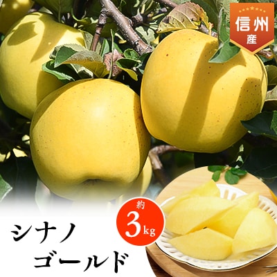 2025年!信州のりんご【シナノゴールド】　約3kg