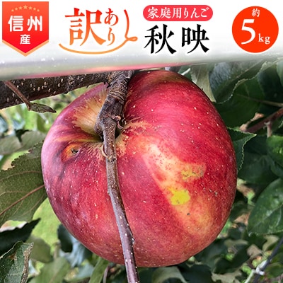 2025年!信州のりんご【秋映】訳あり　約5kg　家庭用