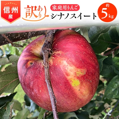 2025年!信州のりんご【シナノスイート】訳あり　約5kg　家庭用