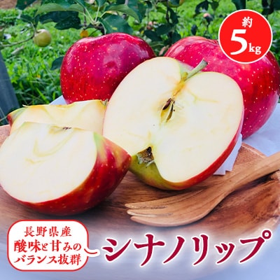 2025年夏!りんご新品種【シナノリップ】約5kg　酸味と甘みのバランス抜群