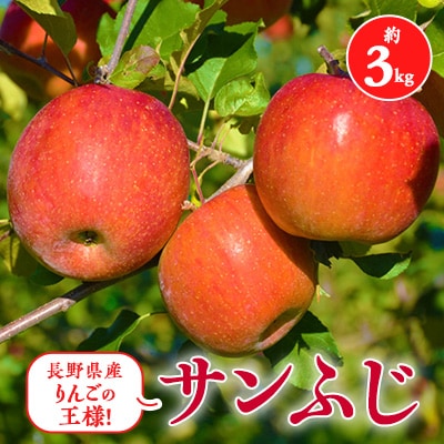 2025年!信州のりんご【サンふじ】約3kg