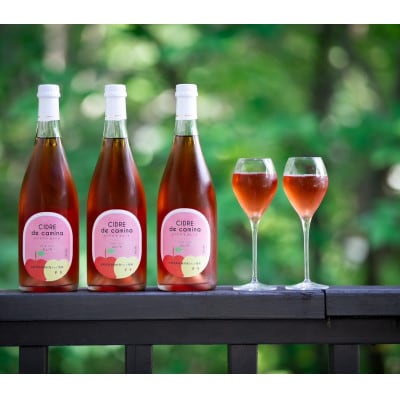シードル　ド　カミーナ(長野県上伊那産りんごのスパークリングワイン)ロゼ750ml×1本