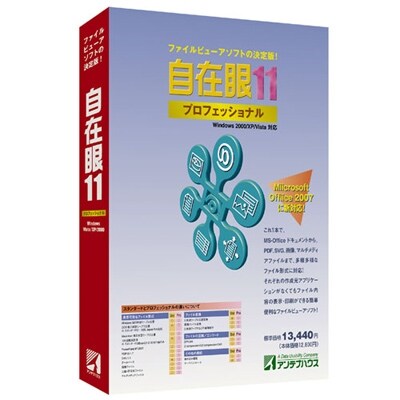 自在眼 11