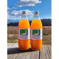 信州産　黄色いにんじんとりんごのジュース　1L ×6本　100%ストレート