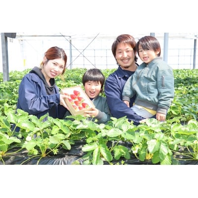 日光産 高級いちごスカイベリー 450g
