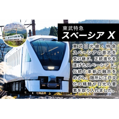 スペーシア Xで行く、鬼怒川金谷ホテル宿泊クーポン　100,000ポイント分