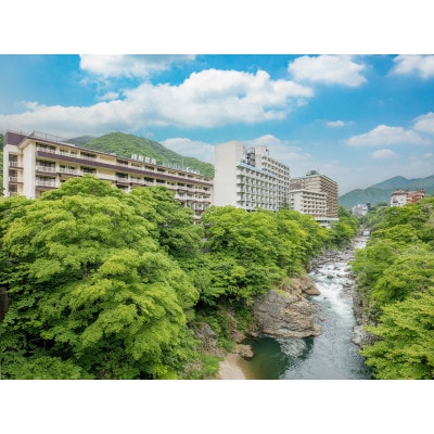 鬼怒川温泉ホテル ペア宿泊券【和室】【夕食:個室でご用意(和会席)/朝食:ブッフェ】