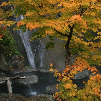八丁の湯 ・ 山里の季節を愉しむ口福プラン 本館和室 3名様一室ご利用(1泊・2食付き)