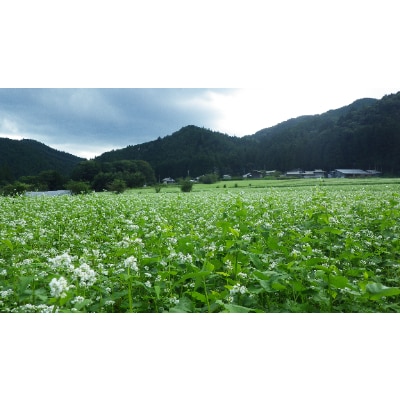 日光産十割乾麺そば(6袋)　そばつゆ付