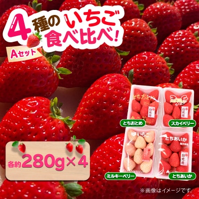 4種のいちご食べ比べ!とちおとめ,スカイベリー,ミルキーベリー,とちあいかのAセット[各約280g]