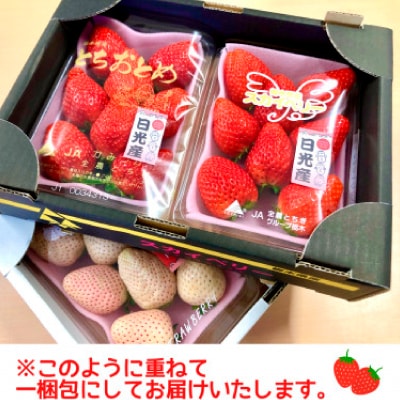 4種のいちご食べ比べ!とちおとめ,スカイベリー,ミルキーベリー,とちあいかのAセット[各約280g]