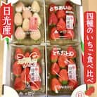 4種のいちご食べ比べ!とちおとめ,スカイベリー,ミルキーベリー,とちあいかのBセット[各約260g]
