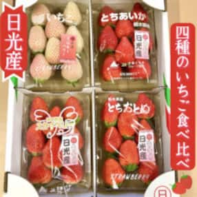 4種のいちご食べ比べ!とちおとめ,スカイベリー,ミルキーベリー,とちあいかのBセット[各約260g]
