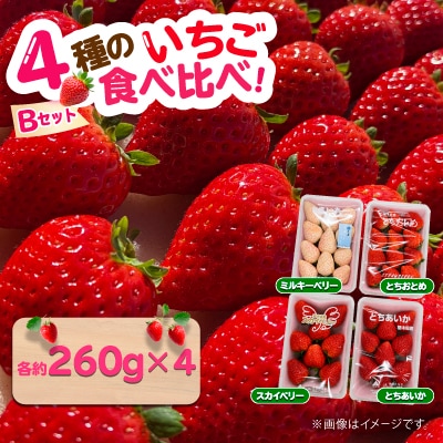 4種のいちご食べ比べ!とちおとめ,スカイベリー,ミルキーベリー,とちあいかのBセット[各約260g]