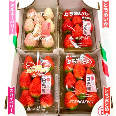 4種のいちご食べ比べ!とちおとめ,スカイベリー,ミルキーベリー,とちあいかのBセット[各約260g]