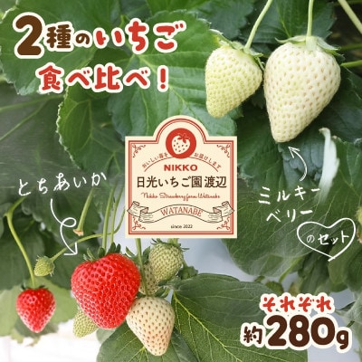 2種食べ比べ!人気のとちあいか、ミルキーベリーのセット[各約280g]