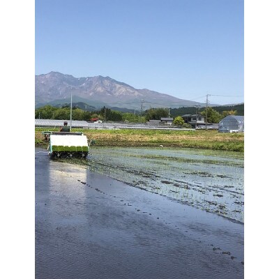 R6産　特別栽培米コシヒカリ　玄米10kg