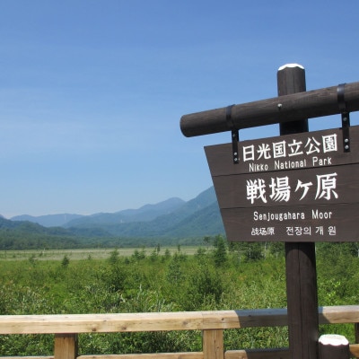 奥日光湯元温泉　湯元板屋の1泊2食宿泊券(和室3名)