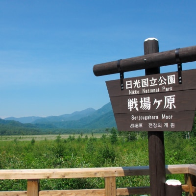 奥日光湯元温泉　湯元板屋の1泊2食宿泊券(和室3名)