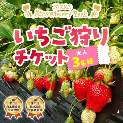 日光ストロベリーパーク　いちご狩り食べ放題チケット　大人3名様