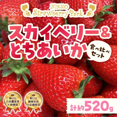 日光ストロベリーパークの『スカイベリー』&『とちあいか』各1パック【2025年1月上旬～発送予定】
