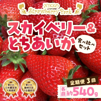 【発送月固定定期便】日光ストロベリーパークの『スカイベリー』&『とちあいか』270g×2パック全3回