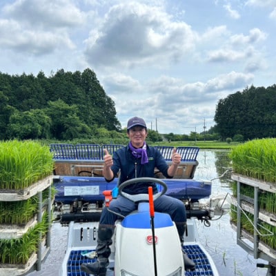 こしひかり玄米5kg　日光ダイヤ舞　栽培期間中農薬不使用1年目　◆お米◆美味しい◆玄米