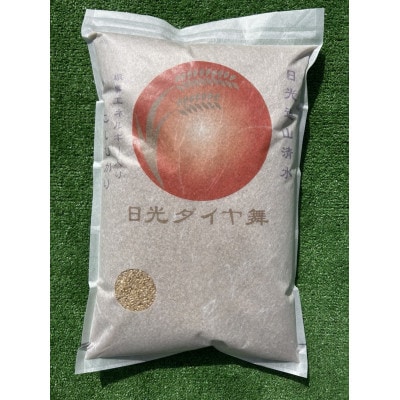 こしひかり玄米5kg　日光ダイヤ舞　栽培期間中農薬不使用1年目　◆お米◆美味しい◆玄米