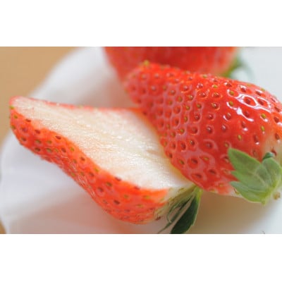 【先行予約】大粒とちあいか2パック&とちおとめ2パック計1kg【1月上旬より順次発送】