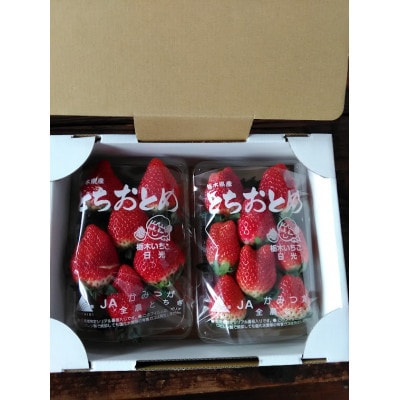 【先行予約】大粒とちおとめ2パック入り【2026年1月上旬より順次発送】