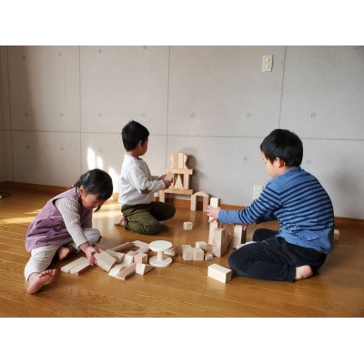 森と人をつなぐ　積み木モノレール