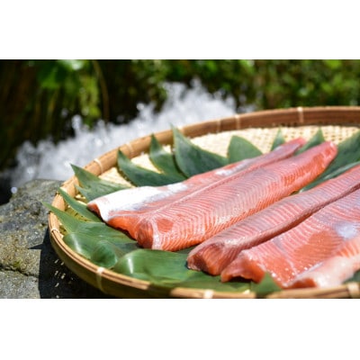 鱒界の頂点を目指しマス!頂鱒(イタダキマス)の柵どり(生食用)約1.2kg