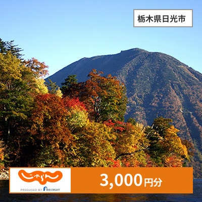 【じゃらんふるさと納税クーポン】 栃木県日光市でつかえる3,000円 クーポン