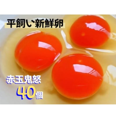 赤玉鬼怒　40個
