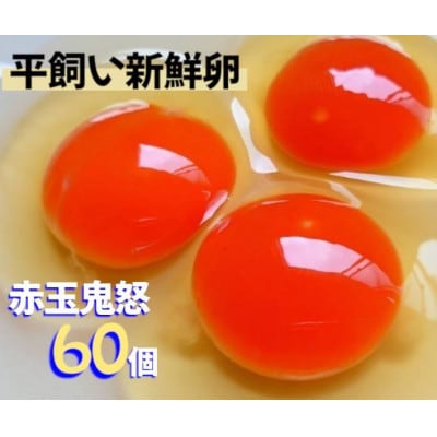 平飼い赤玉鬼怒　60個