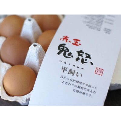 平飼い赤玉鬼怒　60個