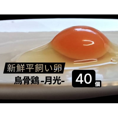 平飼い烏骨鶏卵　月光40個