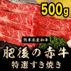 肥後の赤牛　特選すき焼き500g(宇土市)　