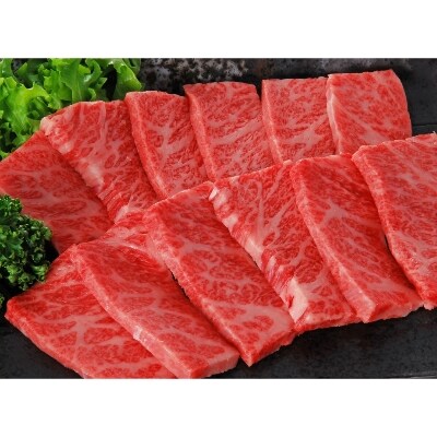 熊本県産 あか牛 特選焼肉用500g(宇土市)