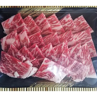 熊本県産 あか牛 特選焼肉用500g(宇土市)