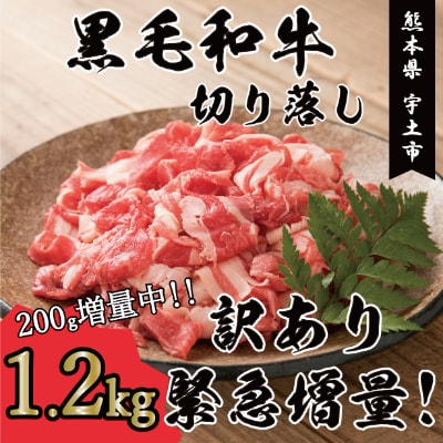 訳あり緊急増量! 黒毛和牛切落し1000g+200g(増量) 計1200g(宇土市)